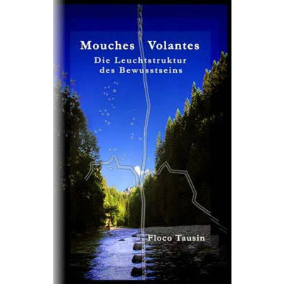Mouches Volantes - the luminaire structure of consciousness